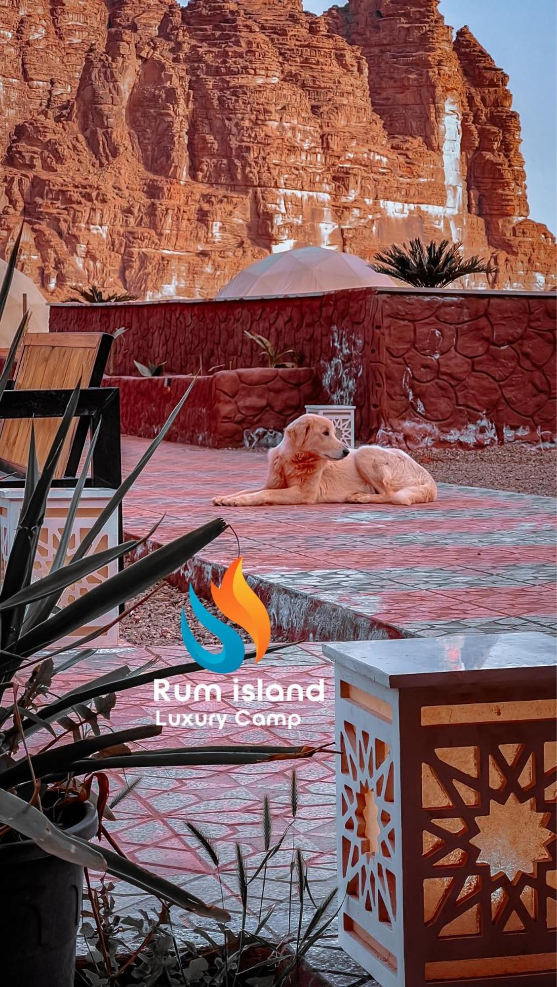Rum Island Luxury Camp & Bubbles Hotel Ram Vadisi Dış mekan fotoğraf